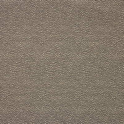 29908-316 by Kravet Design Fabric GIS POLYESTER - 50%;RAYON - 50% United States HEAVY Horizontal: 0 and Vertical: 0 58 - Fabric Carolina -