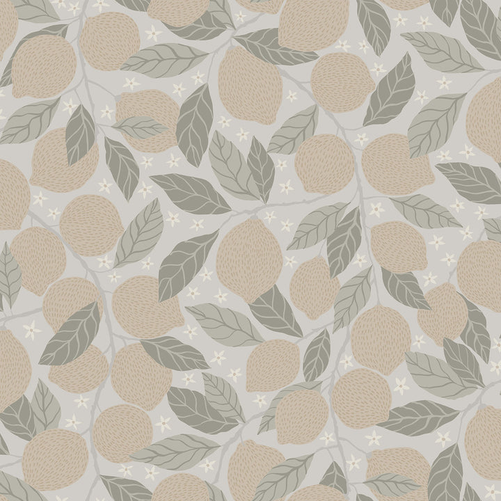 Lemona Grey Fruit Tree Wallpaper by A-Street Prints Annelie Covers about 57.5 square feet 20.9-in by 33-ft long roll Unpasted 20.9 - Fabric Carolina -
