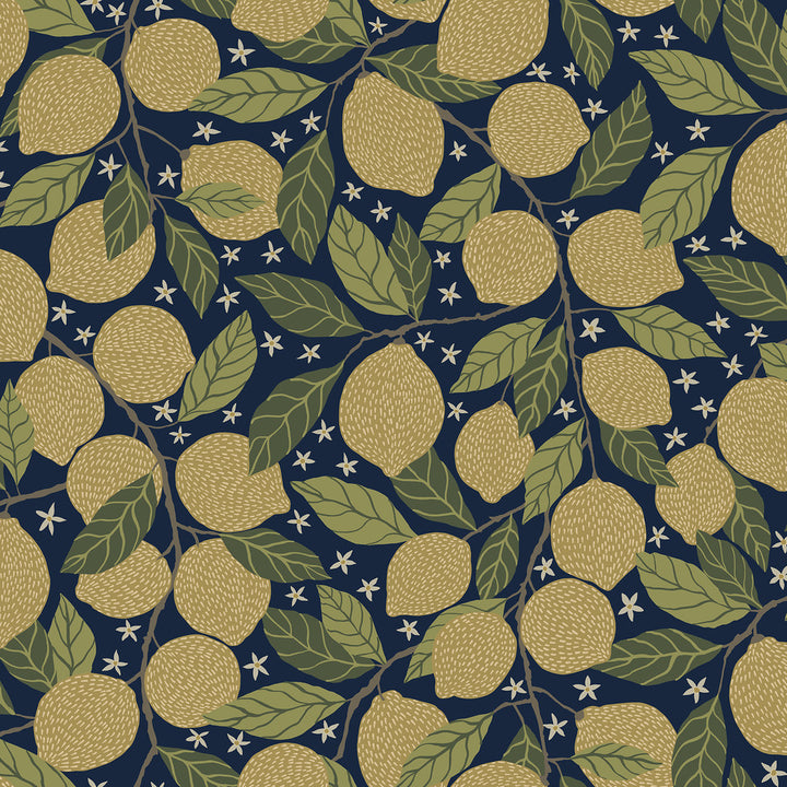 Lemona Navy Fruit Tree Wallpaper by A-Street Prints Annelie Covers about 57.5 square feet 20.9-in by 33-ft long roll Unpasted 20.9 - Fabric Carolina -