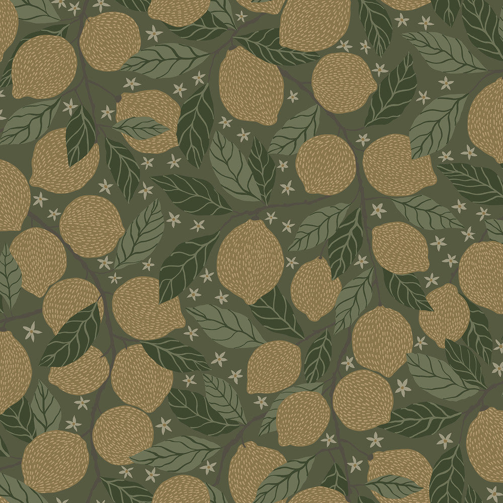 Lemona Green Fruit Tree Wallpaper by A-Street Prints Annelie Covers about 57.5 square feet 20.9-in by 33-ft long roll Unpasted 20.9 - Fabric Carolina -