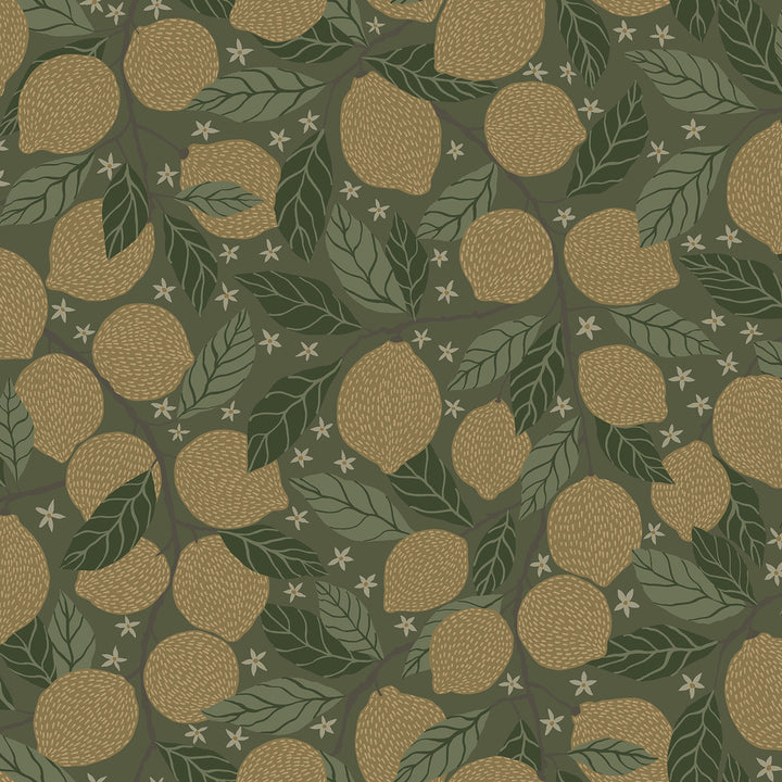 Lemona Green Fruit Tree Wallpaper by A-Street Prints Annelie Covers about 57.5 square feet 20.9-in by 33-ft long roll Unpasted 20.9 - Fabric Carolina -
