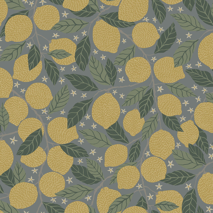 Lemona Blue Fruit Tree Wallpaper by A-Street Prints Annelie Covers about 57.5 square feet 20.9-in by 33-ft long roll Unpasted 20.9 - Fabric Carolina -