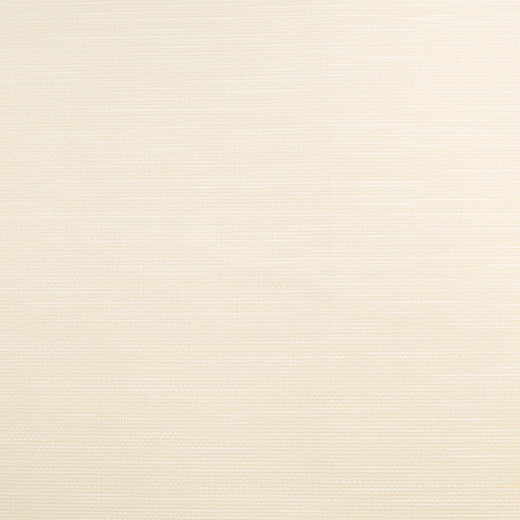 Pioneer - 29 by Europatex Fabric Pioneer 55% PVC, 40% Polyester, 5% Polyurethane China See Sample Horizontal: N/A and Vertical: N/A 55.00 inches  - Fabric Carolina -