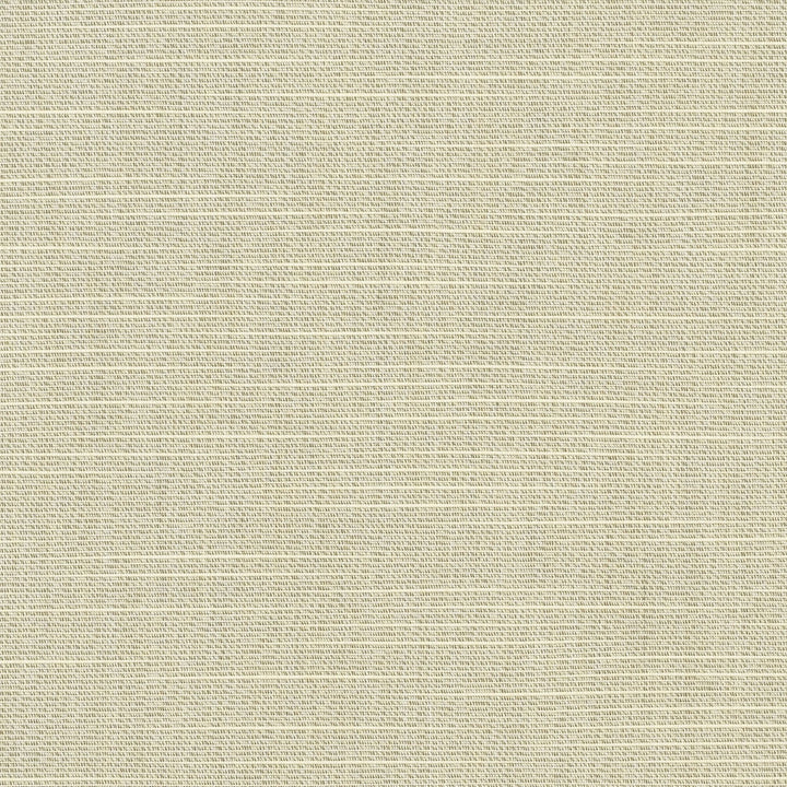 6062 Silica Silver by Sunbrella Designer Fabric Sunbrella Awning / Marine 60 in. Solids 100% Sunbrella® Acrylic USA or Imported 10-Year Horizontal: and Vertical: 60 in. - Swanky Fabrics -