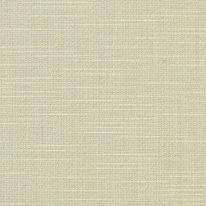 6062 Silica Silver by Sunbrella Fabric