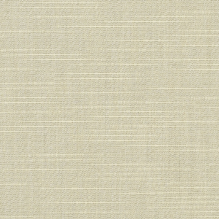 6062 Silica Silver by Sunbrella Fabric Sunbrella Awning / Marine 60 in. Solids 100% Sunbrella® Acrylic USA or Imported 10-Year Horizontal: and Vertical: 60 in. - Fabric Carolina -