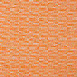 30010-06 by Charlotte Fabric