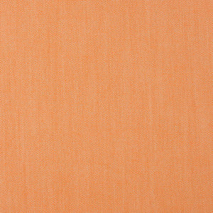 30010-06 by Charlotte Fabric