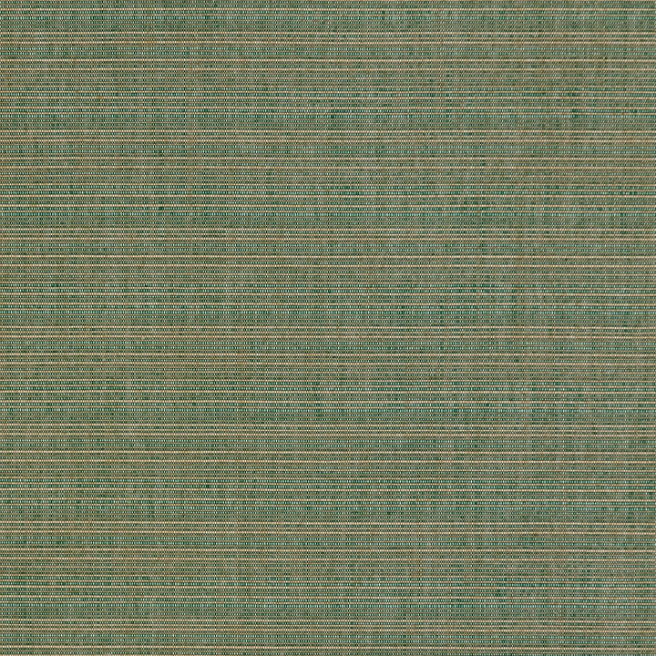 30030-02 by Charlotte Fabric Woven Acrylics 100% Solution Dyed Acrylic Spain Exceeds 60,000 Wyzenbeek Rubs (Heavy Duty) No Repeat 54 Inches - Fabric Carolina -