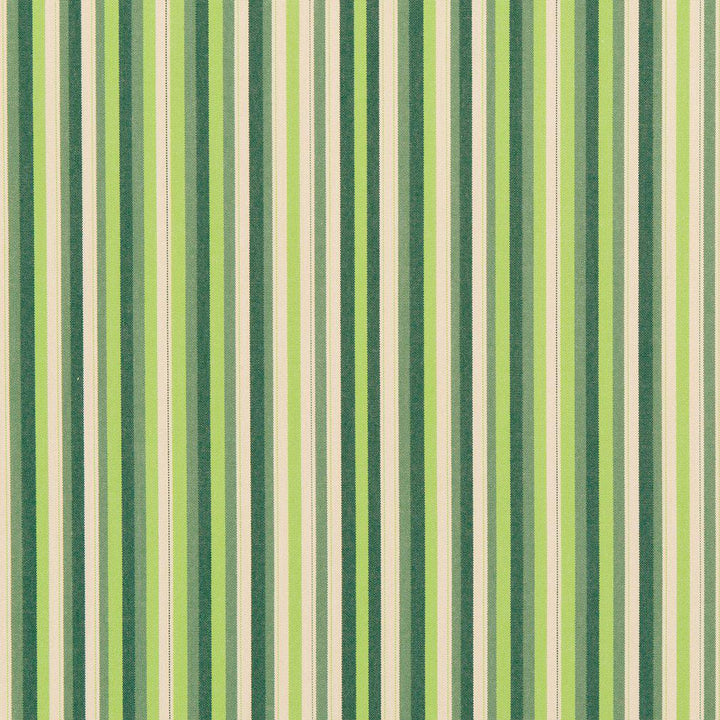 30040-01 by Charlotte Fabric Woven Acrylics 100% Solution Dyed Acrylic Spain Exceeds 60,000 Wyzenbeek Rubs (Heavy Duty) Horizontal: 8" 54 Inches - Fabric Carolina -