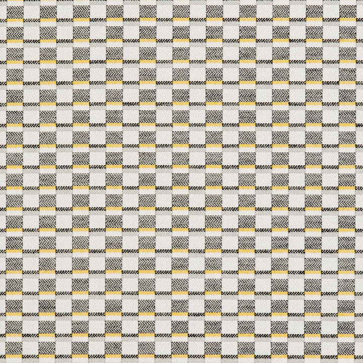 30060-01 by Charlotte Designer Fabric Woven Acrylics 100% Solution Dyed Acrylic Spain Exceeds 60,000 Wyzenbeek Rubs (Heavy Duty) </p><p>Repeat: Horizontal: 1" x Vertical: .5" 54 Inches - Swanky Fabrics -