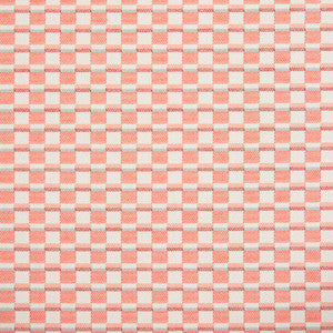 30060-03 by Charlotte Fabric