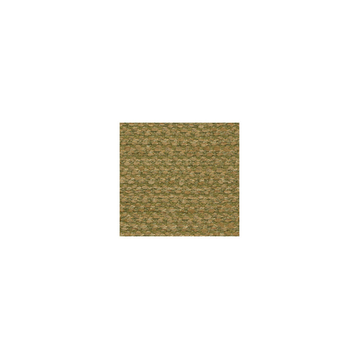 Disperse Citron by Kravet Contract Fabric POLYESTER - 79%;ACRYLIC - 21% United States HEAVY Horizontal: 0 and Vertical: 0 54 - Fabric Carolina -