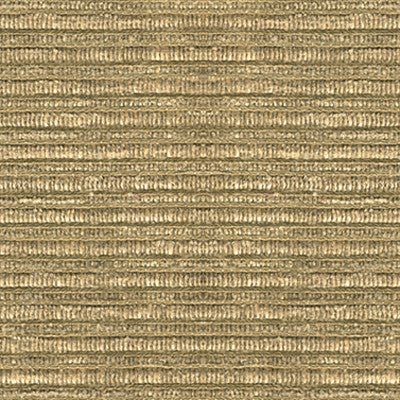 Lucky You Blanc by Kravet Couture Fabric