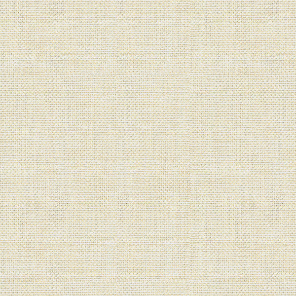 30299.111 by Kravet Basics Designer Fabric Perfect Plains Polyester 63%, Viscose 35%, Polyamide 2% China Heavy Horizontal: see sample and Vertical: see sample 55 inches - Swanky Fabrics -