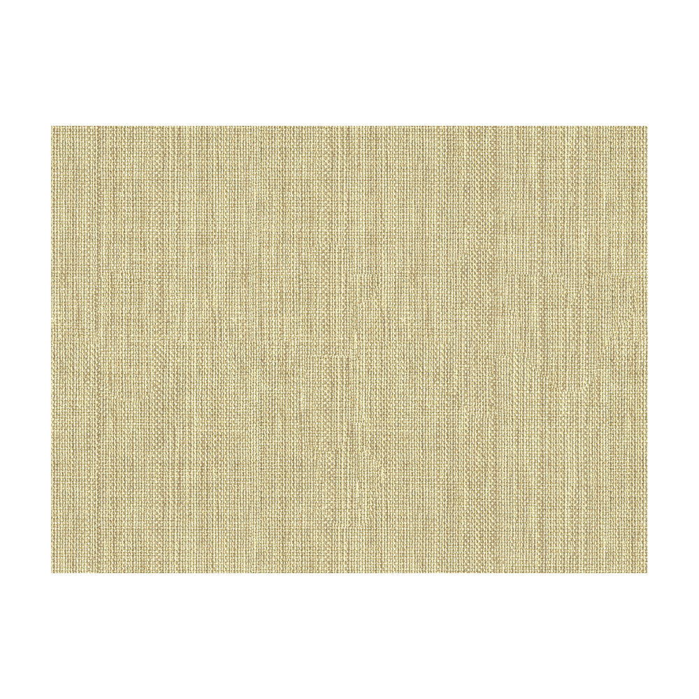 30299-1006 by Kravet Basics Fabric PERFECT PLAINS POLYESTER - 63%;VISCOSE - 35%;POLYAMIDE - 2% China HEAVY Horizontal: 0 and Vertical: 0 55 - Fabric Carolina -