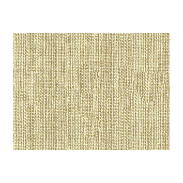 30299-1006 by Kravet Basics Fabric PERFECT PLAINS POLYESTER - 63%;VISCOSE - 35%;POLYAMIDE - 2% China HEAVY Horizontal: 0 and Vertical: 0 55 - Fabric Carolina -