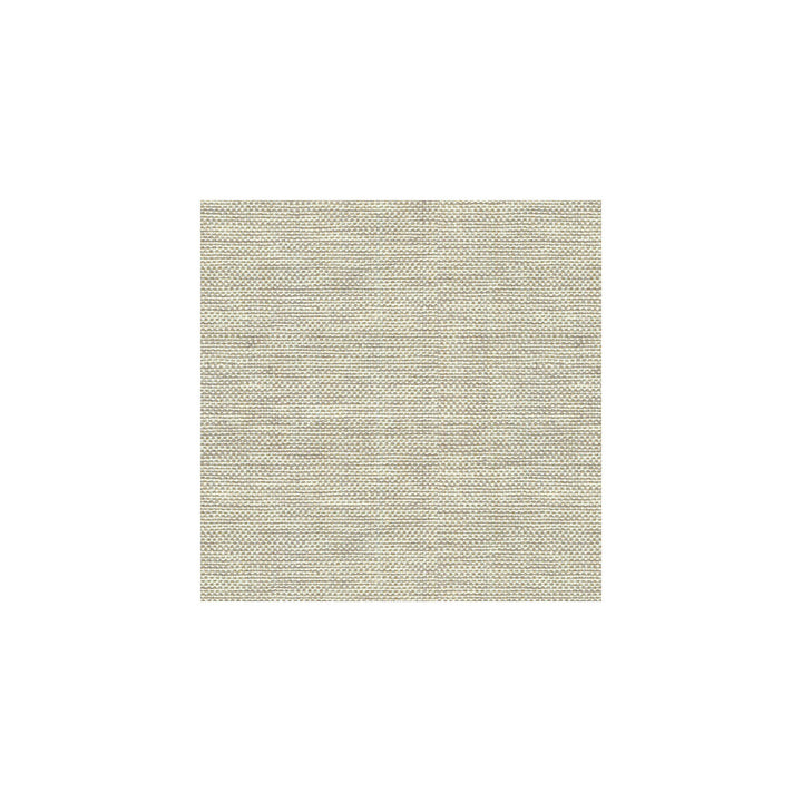 30299-106 by Kravet Basics Fabric PERFECT PLAINS POLYESTER - 63%;VISCOSE - 35%;POLYAMIDE - 2% China HEAVY Horizontal: 0 and Vertical: 0 55 - Fabric Carolina -