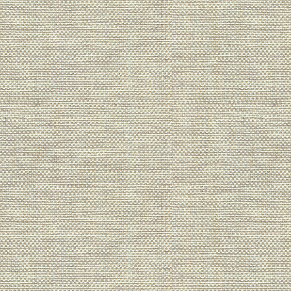 Kravet Basics 30299-106 by Kravet Basics Fabric