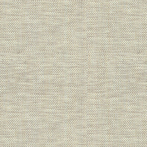 Kravet Basics 30299-106 by Kravet Basics Fabric