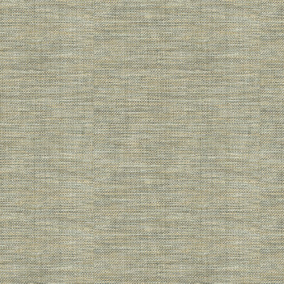 Kravet Basics 30299-1106 by Kravet Basics Fabric