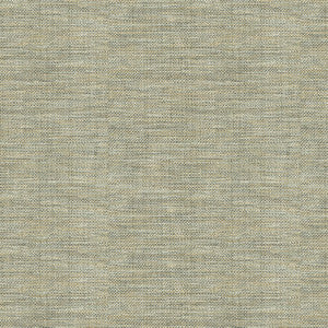 Kravet Basics 30299-1106 by Kravet Basics Fabric