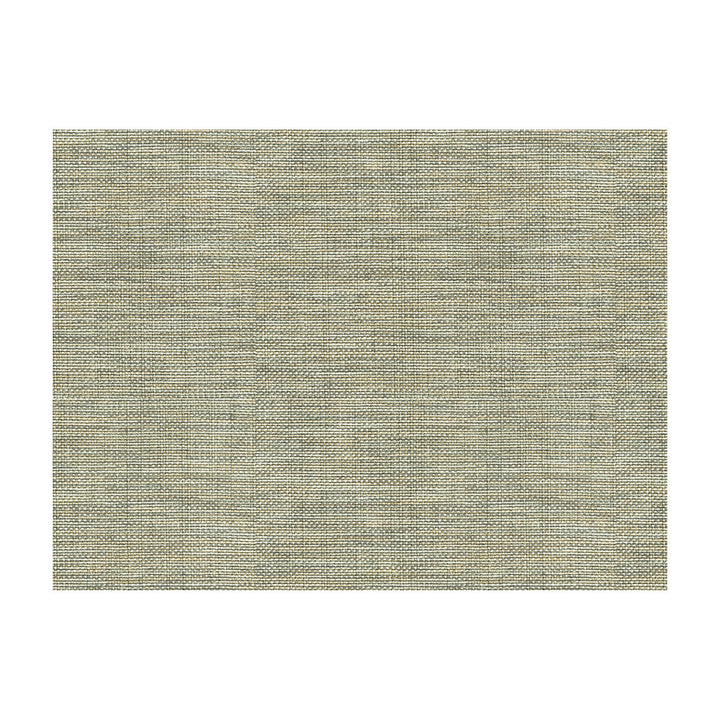 30299-1106 by Kravet Basics Fabric PERFECT PLAINS POLYESTER - 63%;VISCOSE - 35%;POLYAMIDE - 2% China HEAVY Horizontal: 0 and Vertical: 0 55 - Fabric Carolina -