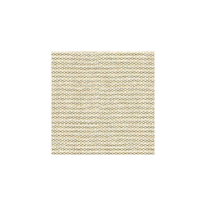 30299-1116 by Kravet Basics Fabric PERFECT PLAINS POLYESTER - 63%;VISCOSE - 35%;POLYAMIDE - 2% China HEAVY Horizontal: 0 and Vertical: 0 55 - Fabric Carolina -