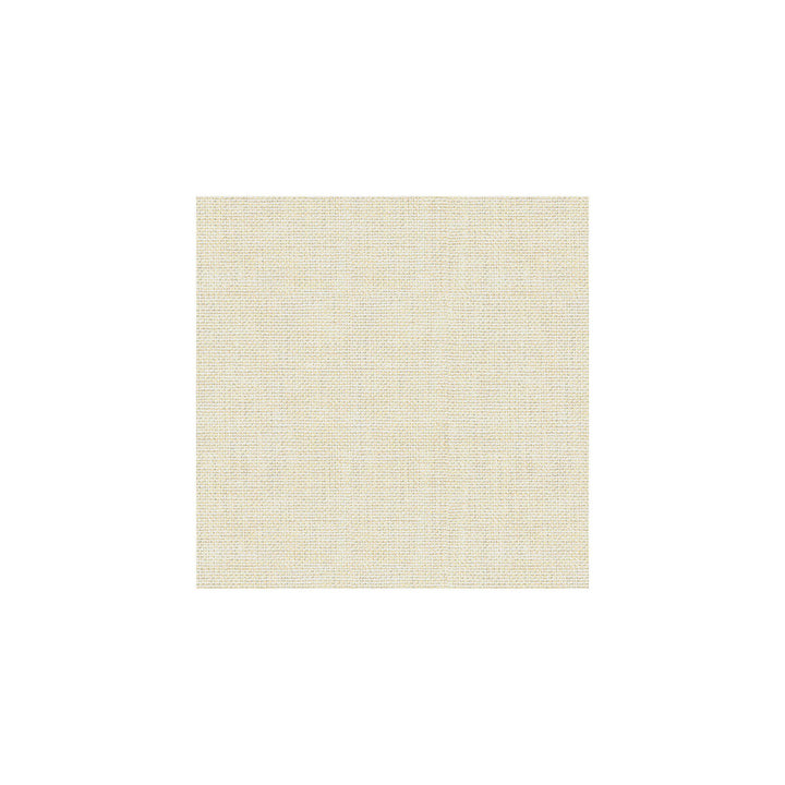 30299-111 by Kravet Basics Designer Fabric PERFECT PLAINS POLYESTER - 63%;VISCOSE - 35%;POLYAMIDE - 2% China HEAVY Horizontal: 0 and Vertical: 0 55 - Swanky Fabrics -