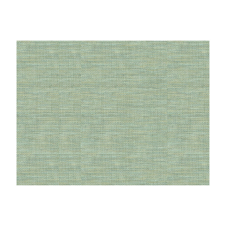 30299-13 by Kravet Basics Fabric PERFECT PLAINS POLYESTER - 63%;VISCOSE - 35%;POLYAMIDE - 2% China HEAVY Horizontal: 0 and Vertical: 0 55 - Fabric Carolina -