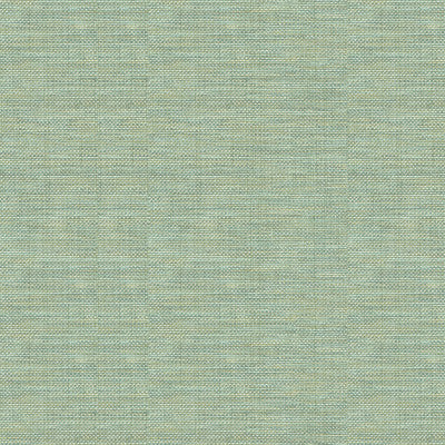 Kravet Basics 30299-13 by Kravet Basics Fabric