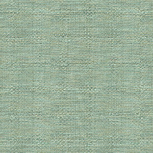 Kravet Basics 30299-1511 by Kravet Basics Fabric