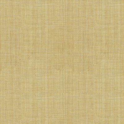 Kravet Basics 30299-1611 by Kravet Basics Fabric
