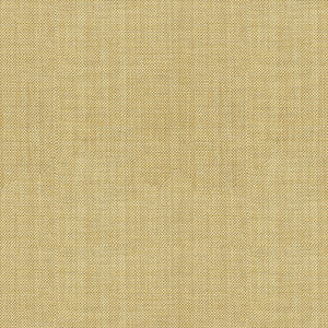 Kravet Basics 30299-1611 by Kravet Basics Fabric