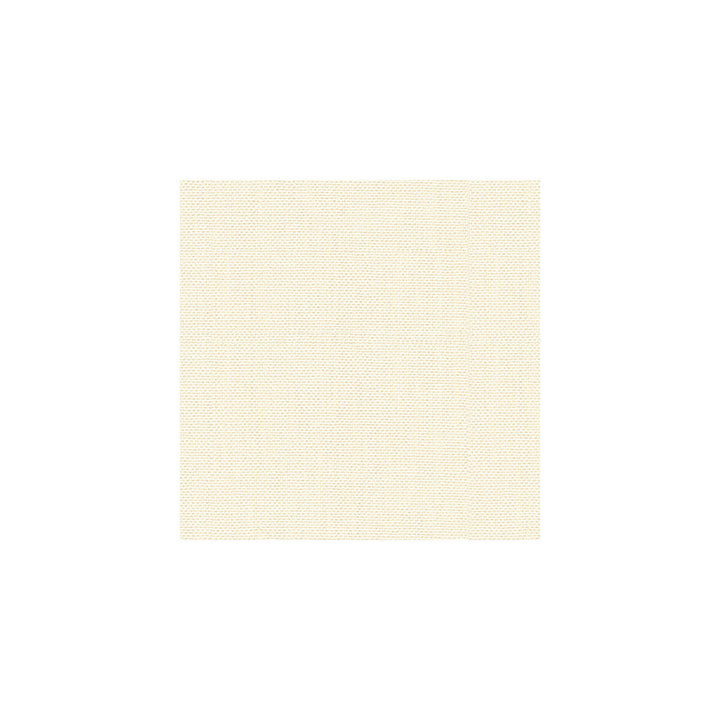 Kravet Basics 30299-1 by Kravet Basics Fabric Kravet Basics Fabric Kravet Basics 30299-1Fabric PERFECT PLAINS POLYESTER - 63%;VISCOSE - 35%;POLYAMIDE - 2% China </p><p>Repeat: H: 0, V: 0 55 - Fabric Carolina -