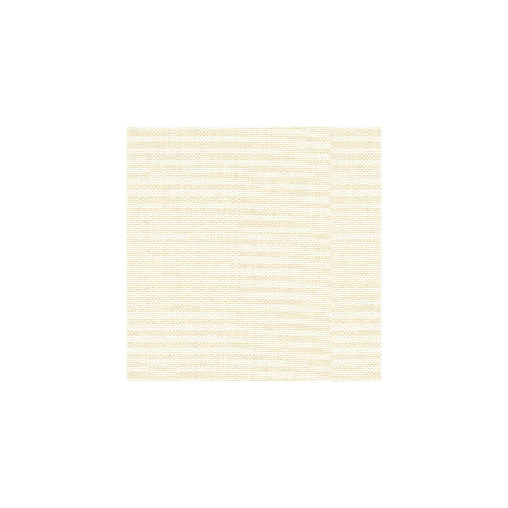 30299-1 by Kravet Basics Fabric PERFECT PLAINS POLYESTER - 63%;VISCOSE - 35%;POLYAMIDE - 2% China HEAVY Horizontal: 0 and Vertical: 0 55 - Fabric Carolina -