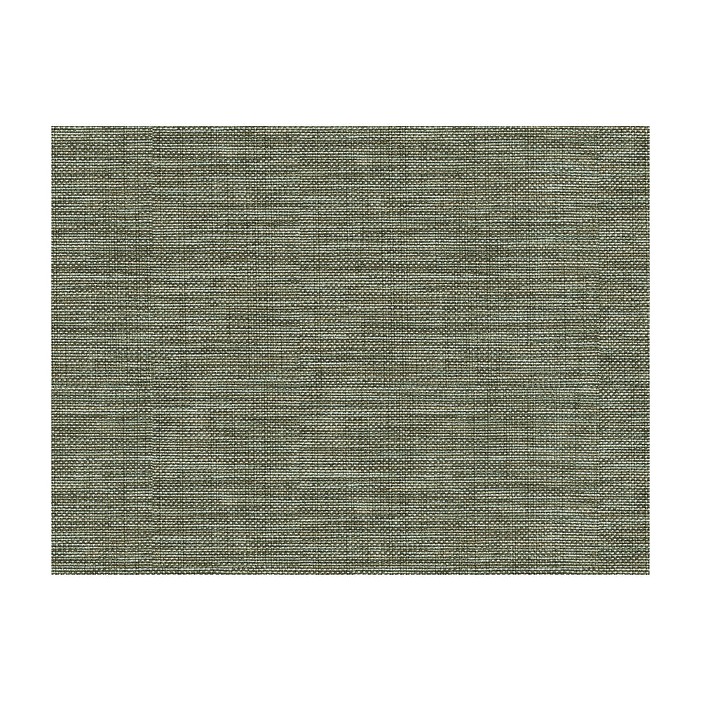 30299-2121 by Kravet Basics Fabric PERFECT PLAINS POLYESTER - 63%;VISCOSE - 35%;POLYAMIDE - 2% China HEAVY Horizontal: 0 and Vertical: 0 55 - Fabric Carolina -