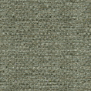 Kravet Basics 30299-2121 by Kravet Basics Fabric