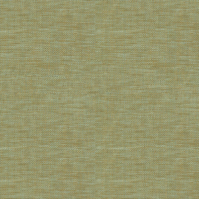 Kravet Basics 30299-613 by Kravet Basics Fabric