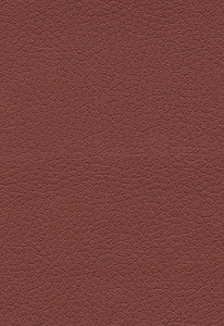 Brisa Raisin 303-1373 by Schumacher Fabric