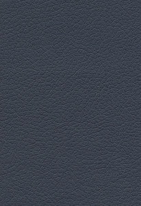 Brisa Night Navy 303-2694 by Schumacher Fabric