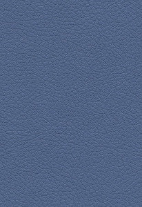 Brisa Sky 303-2696 by Schumacher Fabric