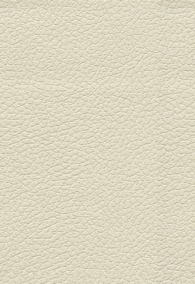 Brisa Birch 303-3019 by Schumacher Fabric Ultraleather 100% Polyurethane Wyzenbeek 200,000 Horizontal: - and Vertical: - 54 - Fabric Carolina -