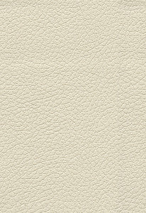 Brisa Birch 303-3019 by Schumacher Fabric