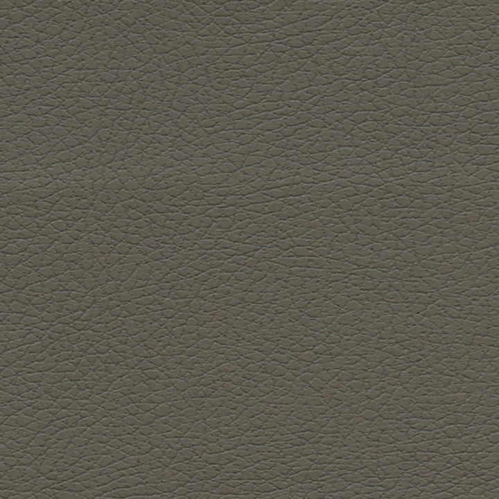 Brisa Shitake 303-3022 by Schumacher Fabric ULTRALEATHER POLYURETHANE 100% JAPAN WYZENBEEK 200,000 </p><p>Repeat: Horizontal: and Vertical: 54 - Fabric Carolina -