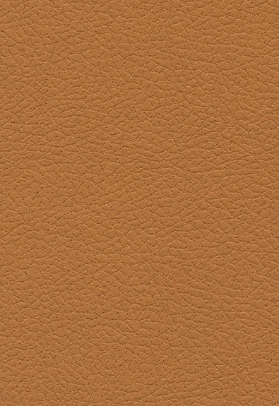 Brisa Aztec 303-3823 by Schumacher Fabric Ultraleather 100% Polyurethane Wyzenbeek 200,000 Horizontal: - and Vertical: - 54 - Fabric Carolina -