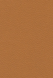 Brisa Aztec 303-3823 by Schumacher Fabric