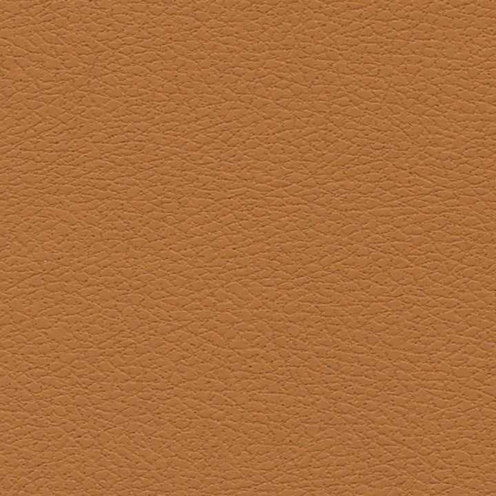 Brisa Aztec 303-3823 by Schumacher Fabric ULTRALEATHER See Sample JAPAN HEAVY DUTY </p><p>Repeat: Horizontal: - and Vertical: - 54" WIDE (137CM) - Fabric Carolina -