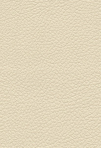 Brisa Cream 303-3863 by Schumacher Fabric