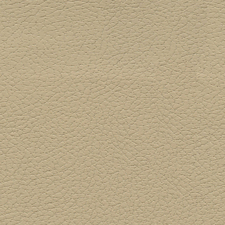 Brisa Desert Clay 303-3864 by Schumacher Fabric ULTRALEATHER POLYURETHANE 100% JAPAN WYZENBEEK 200,000 </p><p>Repeat: Horizontal: and Vertical: 54 - Fabric Carolina -